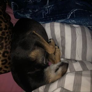 Meet your Posher, Blake